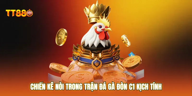 Chiến kê nòi trong trận đá gà đòn C1 kịch tính