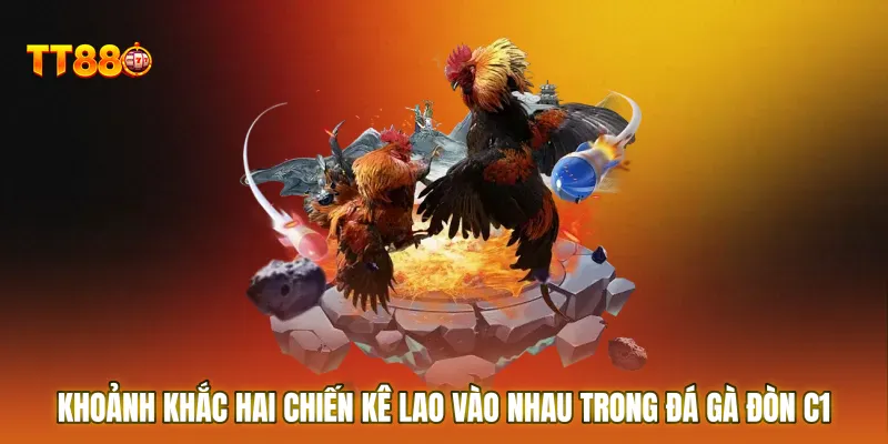 Khoảnh khắc hai chiến kê lao vào nhau trong đá gà đòn C1